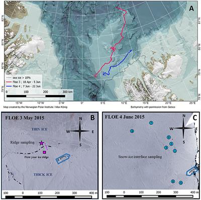 Algal Hot Spots in a Changing Arctic Ocean: Sea-Ice Ridges and the Snow-Ice Interface